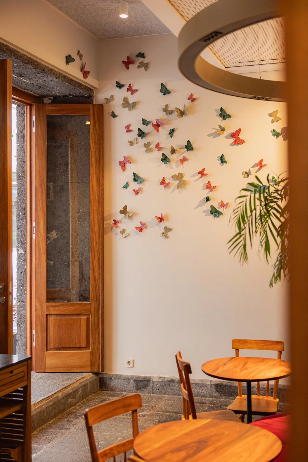 Azorean Butterflies