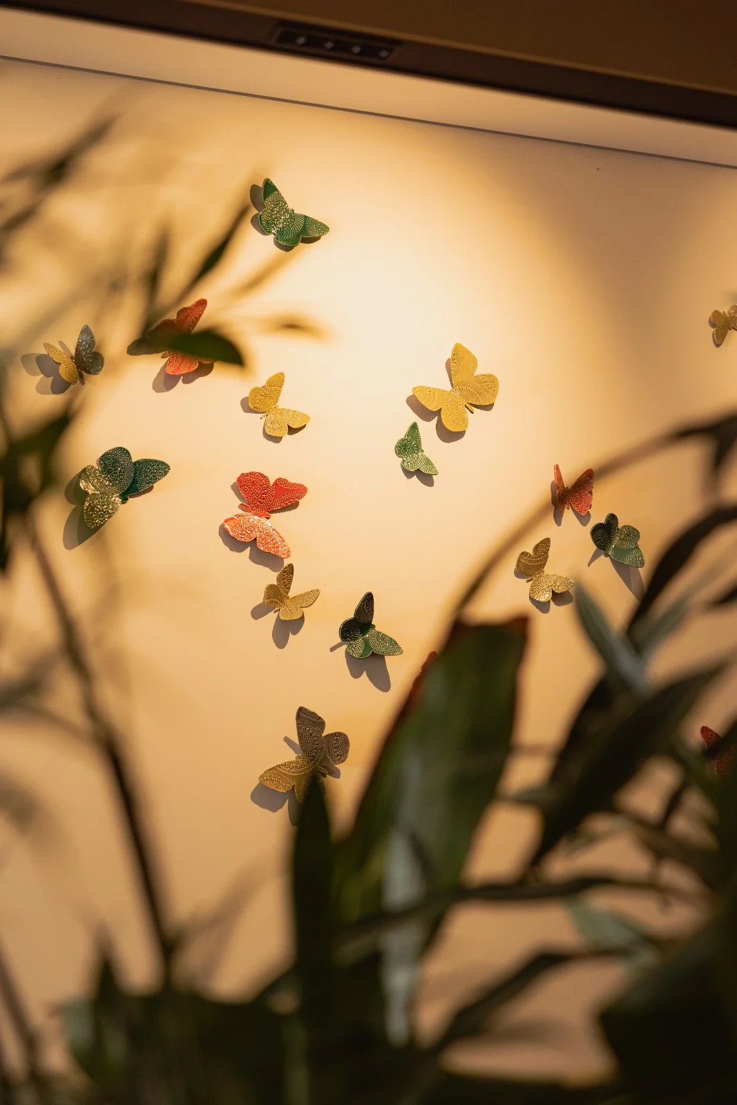 Azorean Butterflies